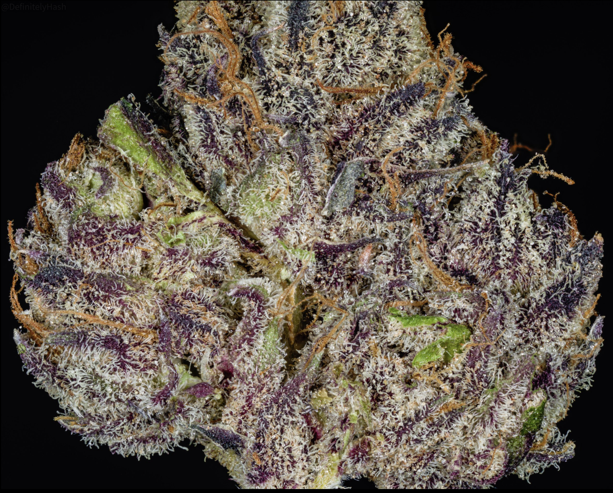 /storage/photos/1/Screenshot 2024-04-17 at 7.04.43 PM.png